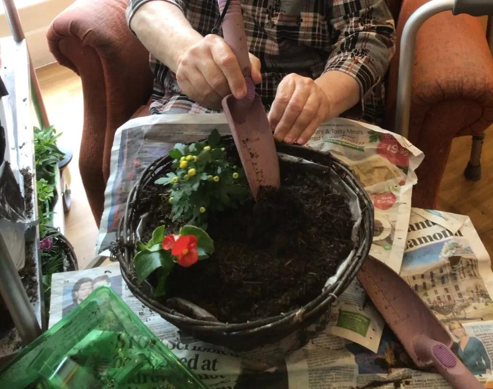 Gardening Therapy at LuxuryCare